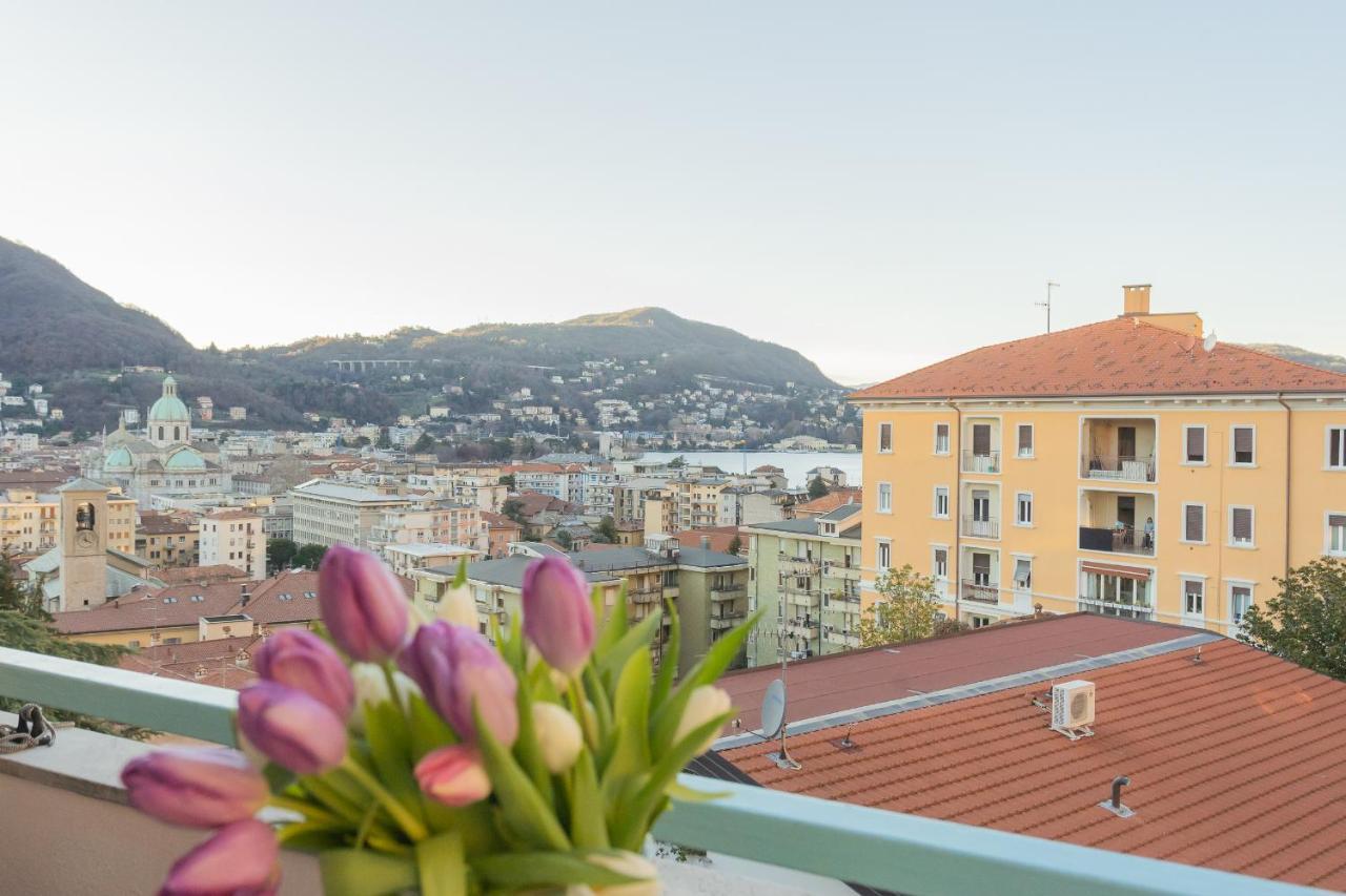 Appartement White View By Rent *